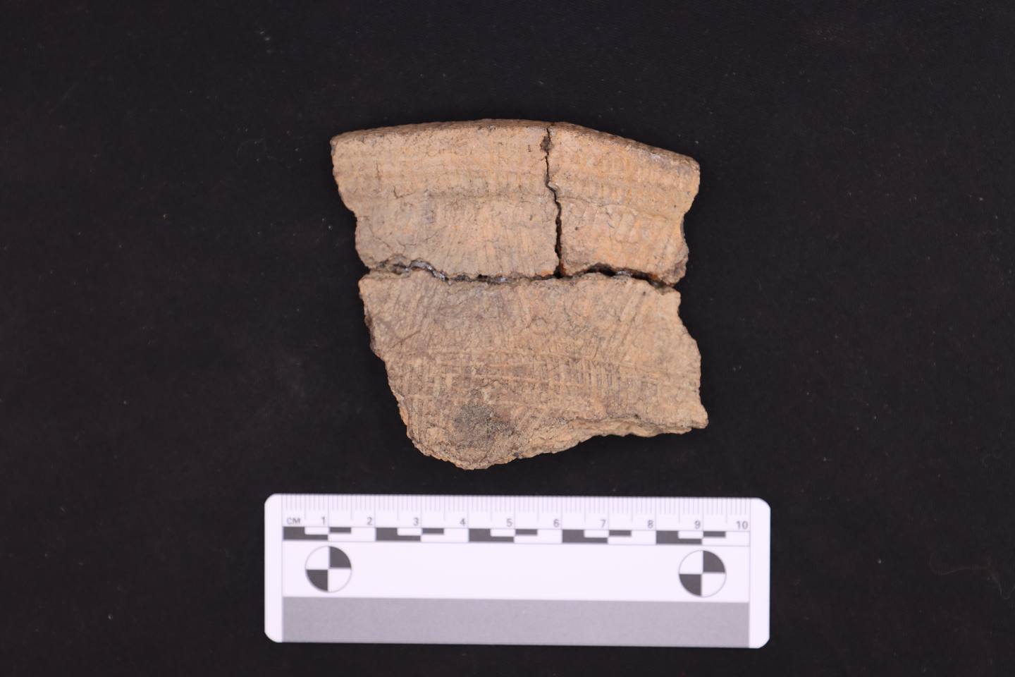 Ceramic sherd sampled for residue analysis