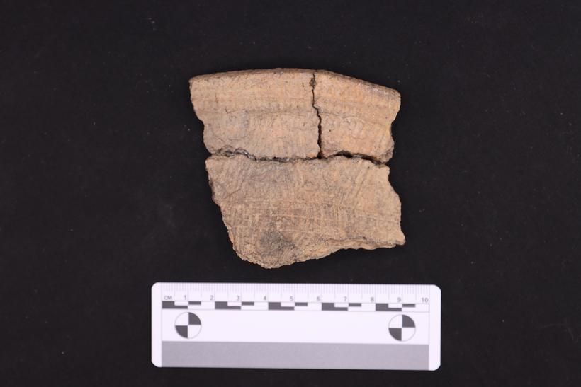 Ceramic sherd