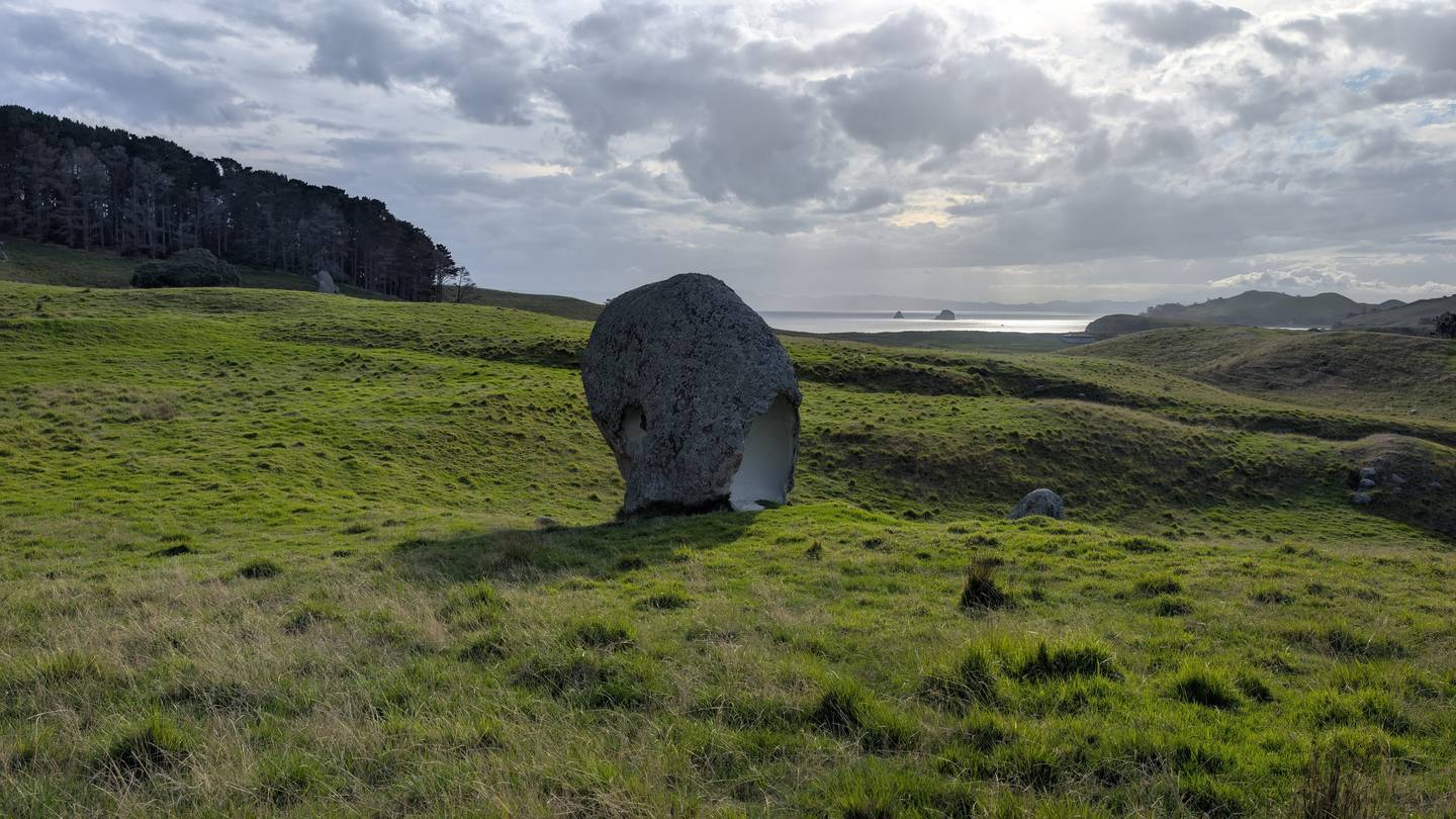 Coastal pasture, Aotearoa New Zealand