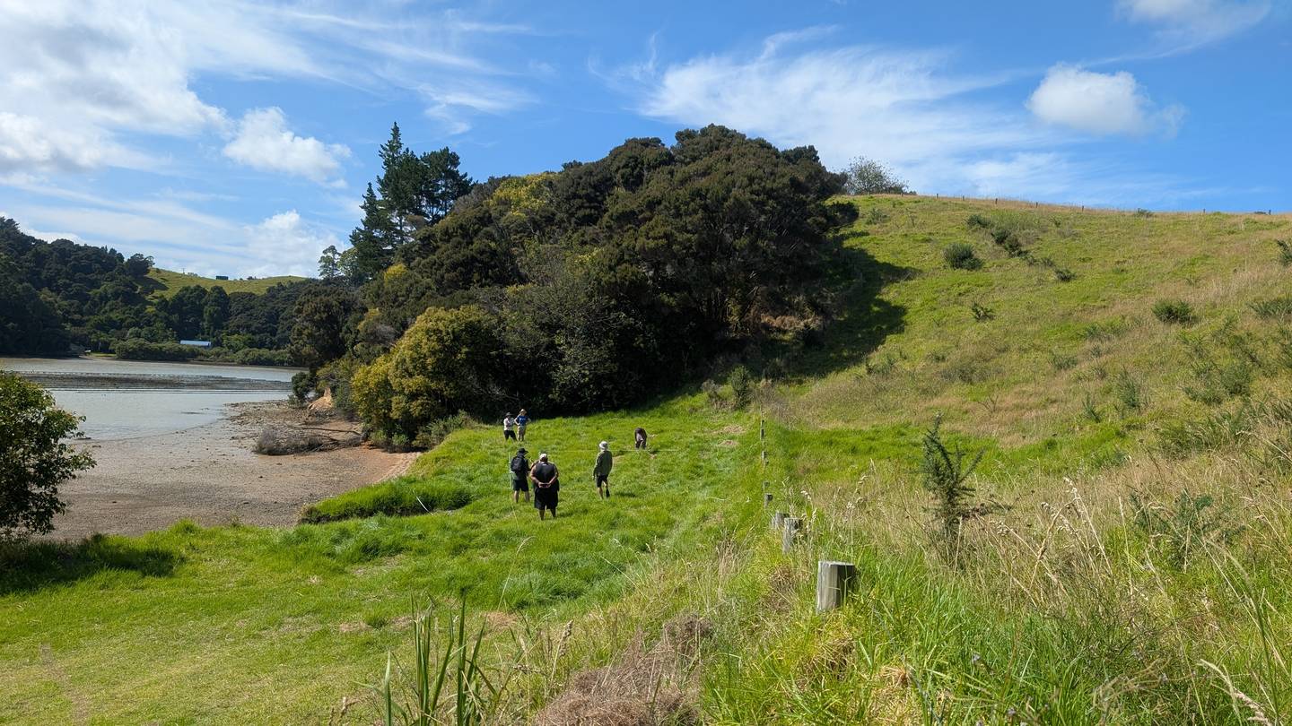 Estuary survey, Aotearoa New Zealand