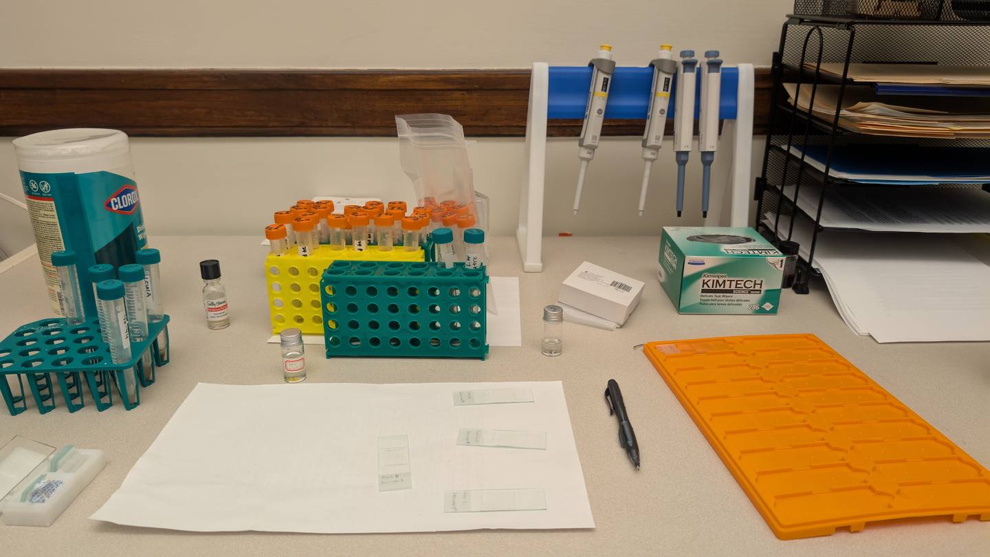 Sample processing in the microbotanical lab